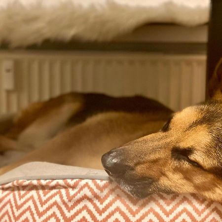 194 Fewo Dat Luetjehuus Mit Dachterrasse Im Ersten Stock Лютенбург Экстерьер фото
